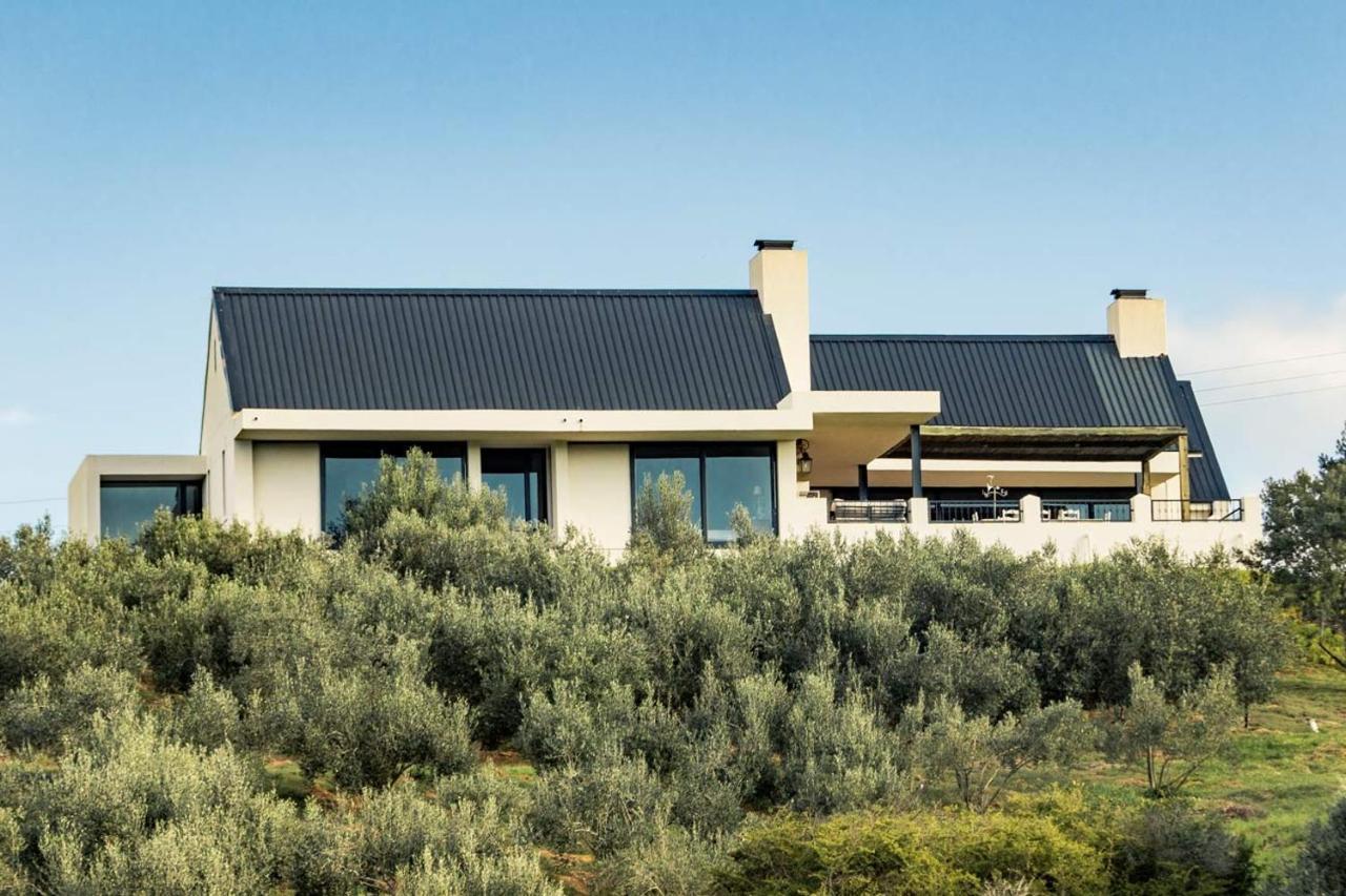 Oudewerfskloof Olive Farm Villa Stilbaai Exteriör bild